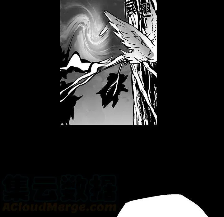 41 第52页