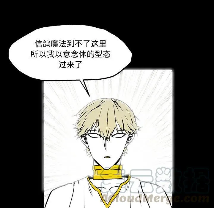 41 第61页