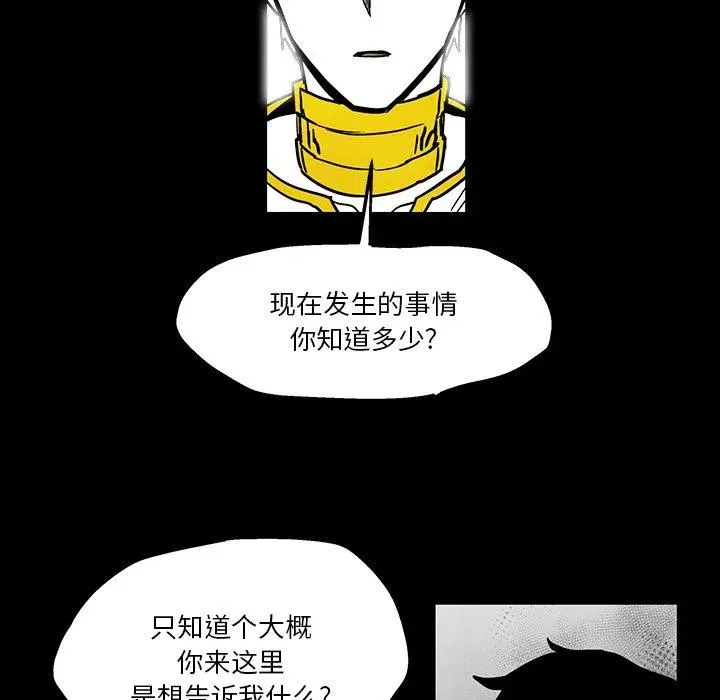 41 第63页