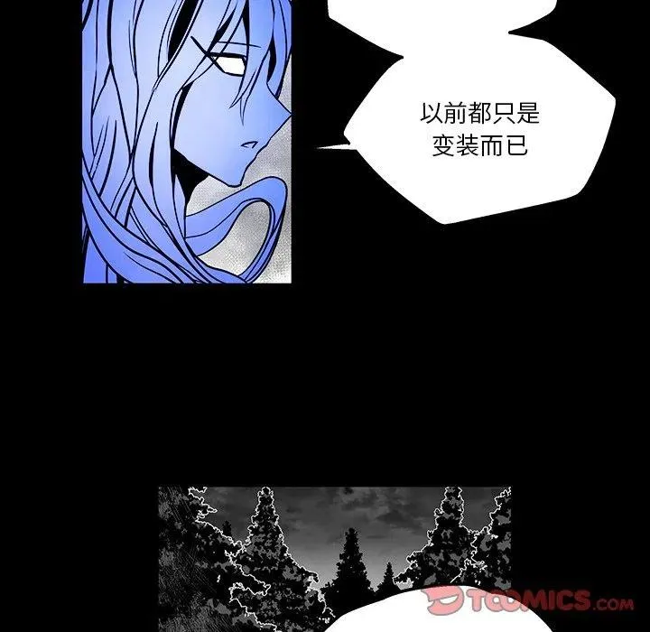 41 第78页