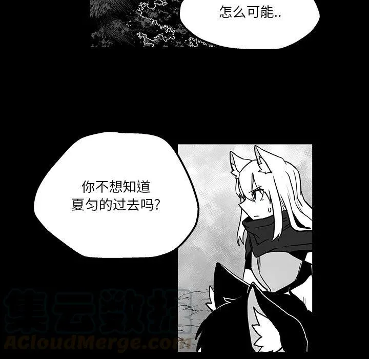 41 第79页