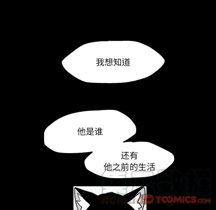 41 第82页
