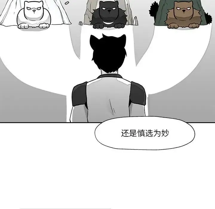 19 第11页
