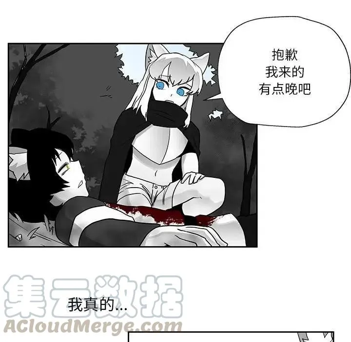 20 第37页