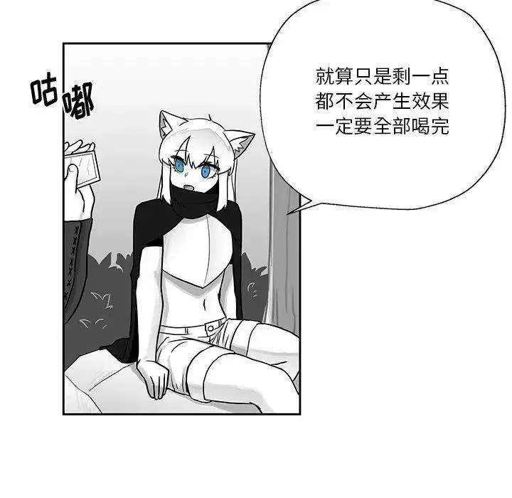 20 第44页