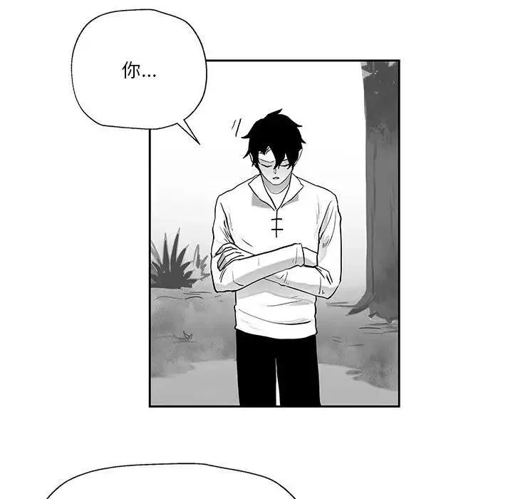 20 第47页