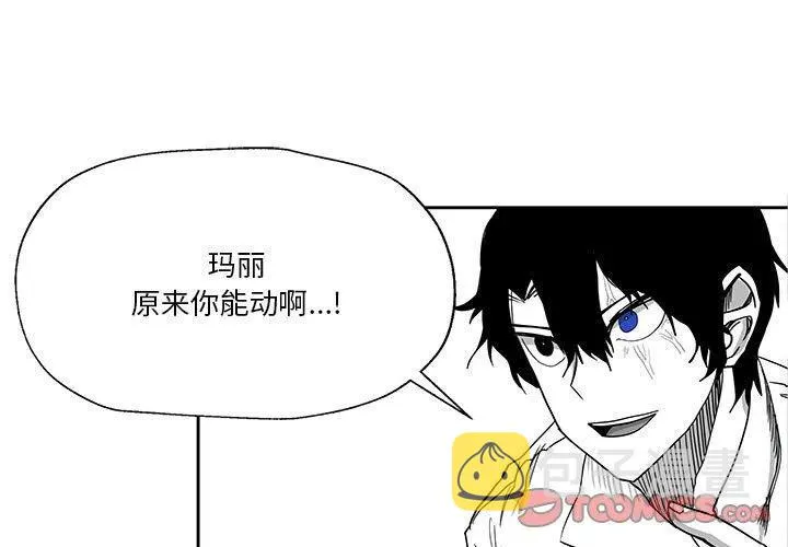 25 第3页