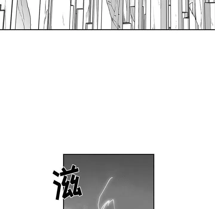 25 第8页