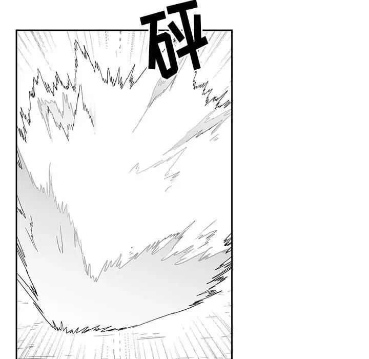 25 第116页