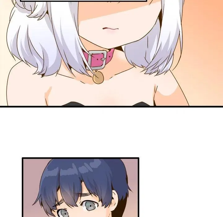 24 第71页