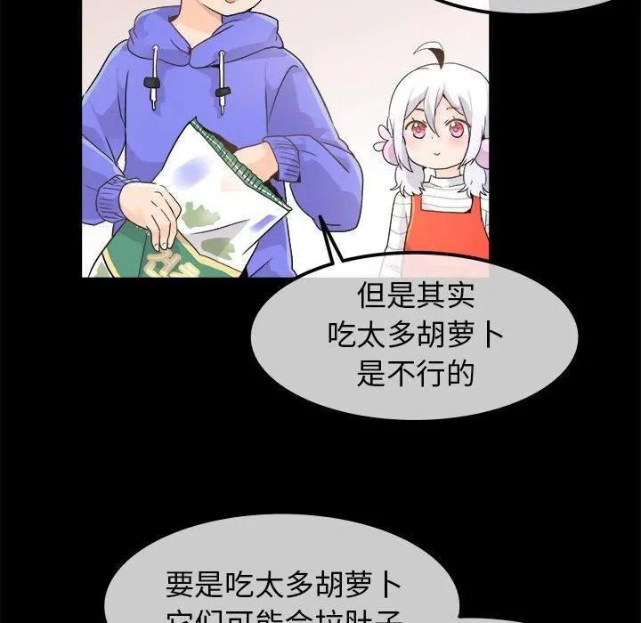 17 第41页