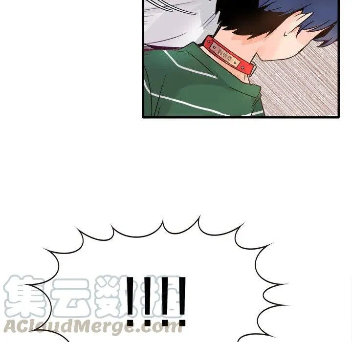 8 第13页