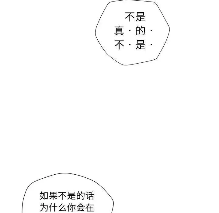 48 第41页