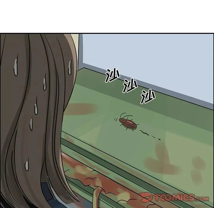 20 第48页