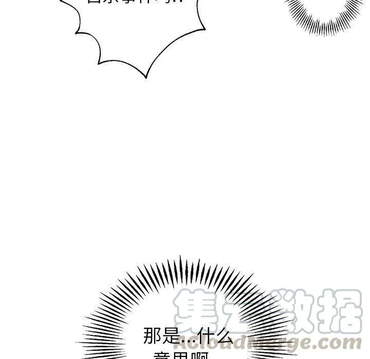 25 第85页