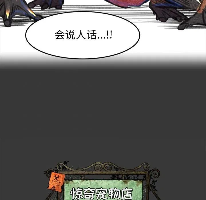 15 第23页