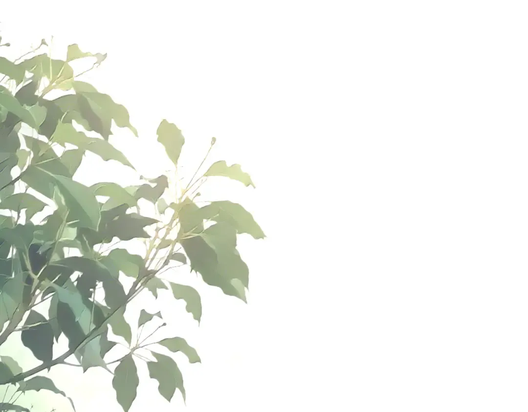 第747话 云家祖地 第17页