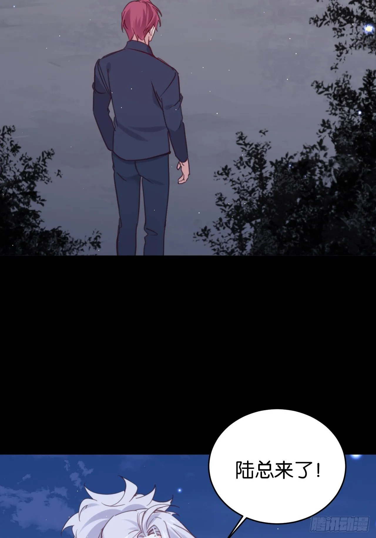 狼的离去 第46页