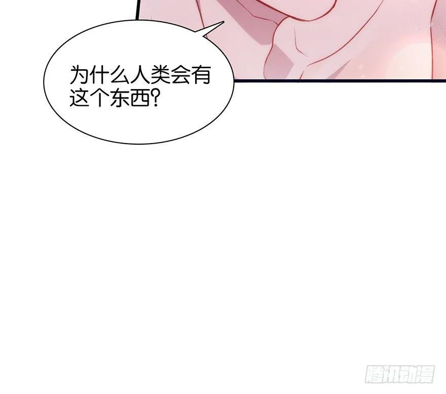吾栖之肤 第33页