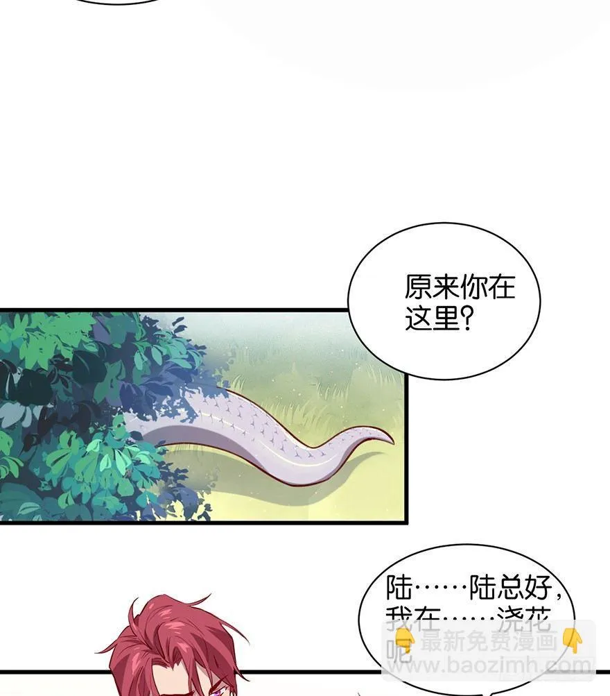吾栖之肤 第67页