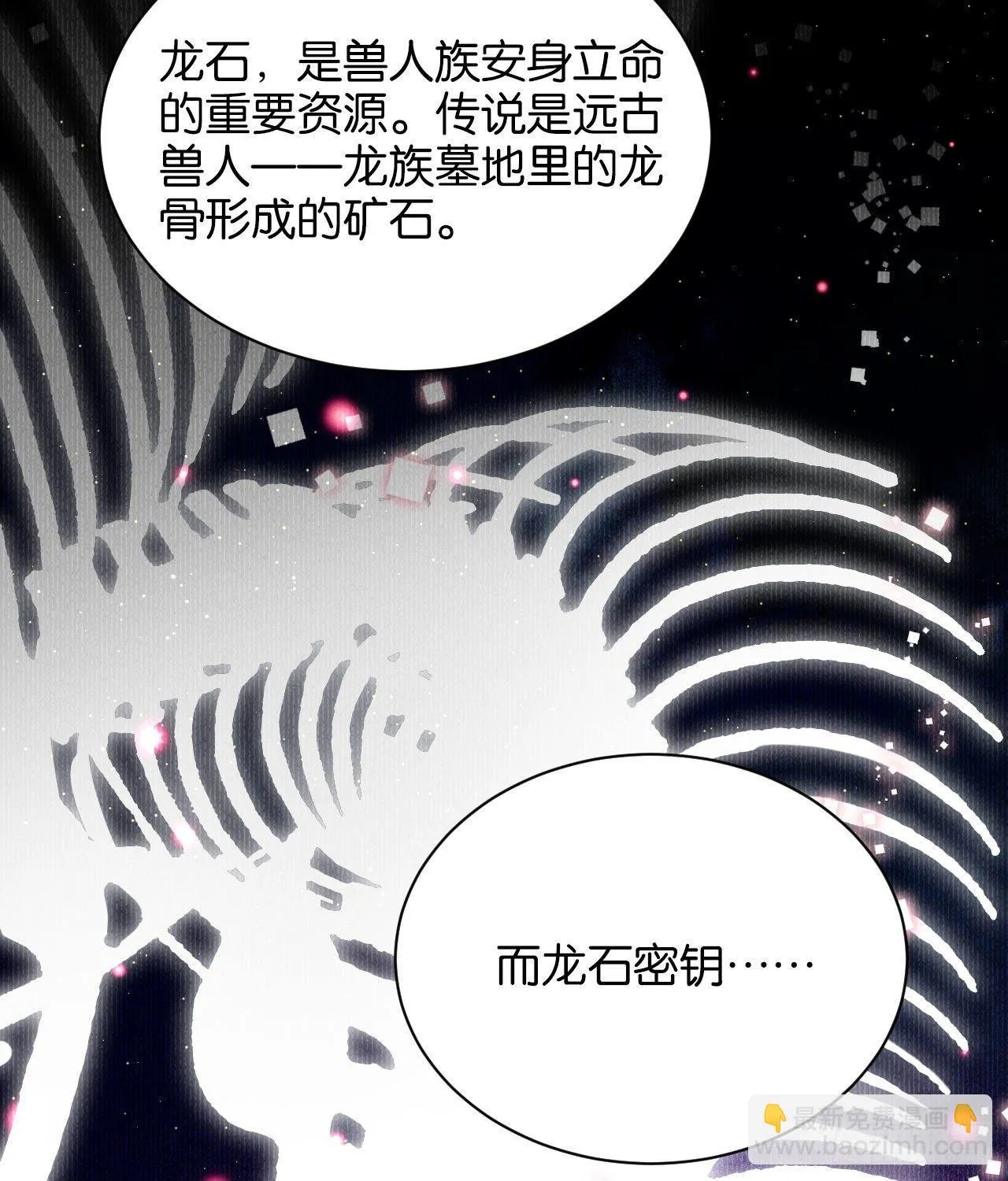 龙石密钥 第16页