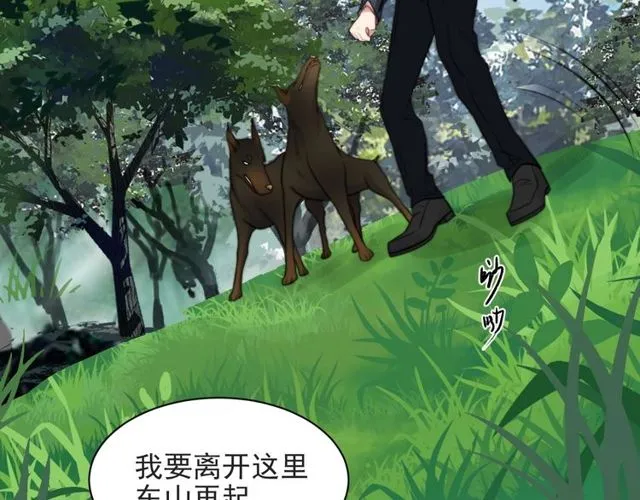 第44话 愿用我的生命换她活着 第37页