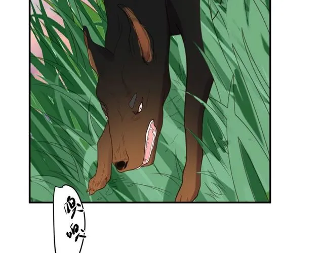 第44话 愿用我的生命换她活着 第71页