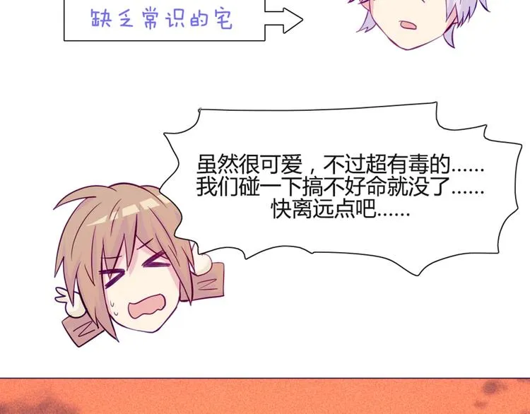 第46话 美丽的东西都有毒 第41页