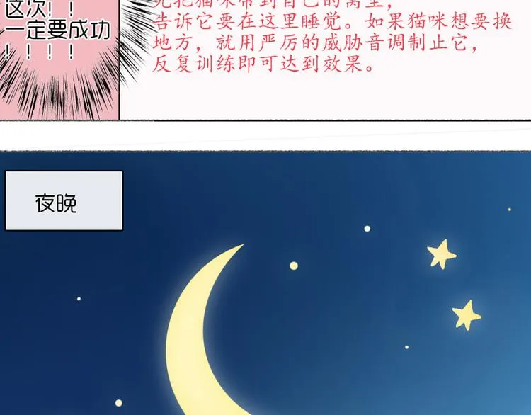 第23话 接下来就是爽的了 第71页