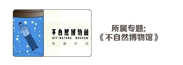 单纯的爱情 第17页
