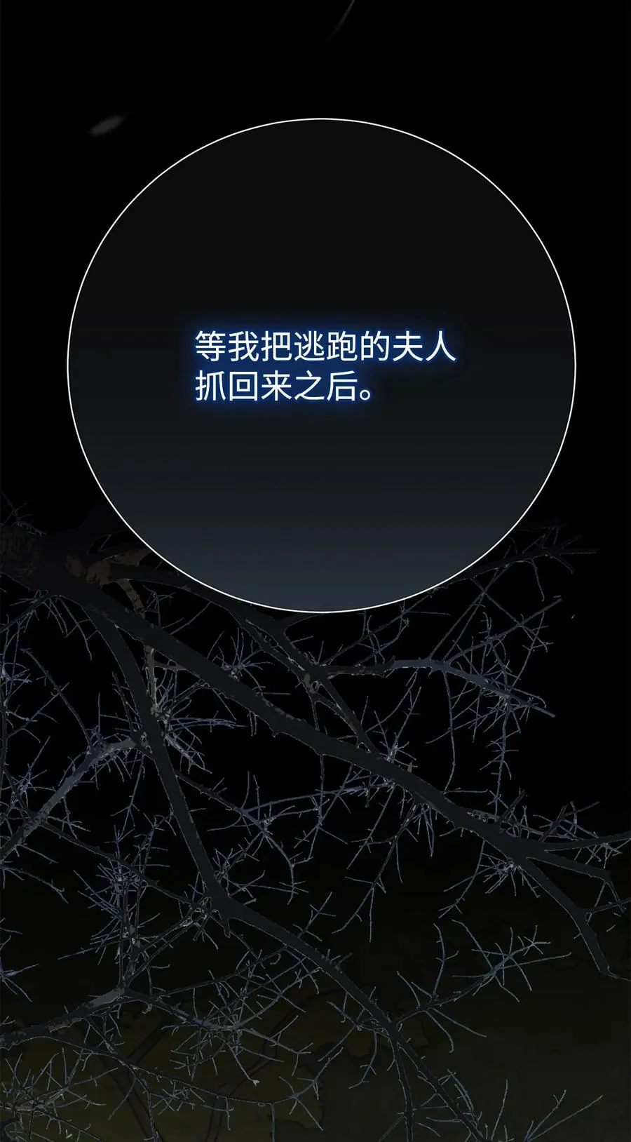 106 夫人她，跑了 第63页