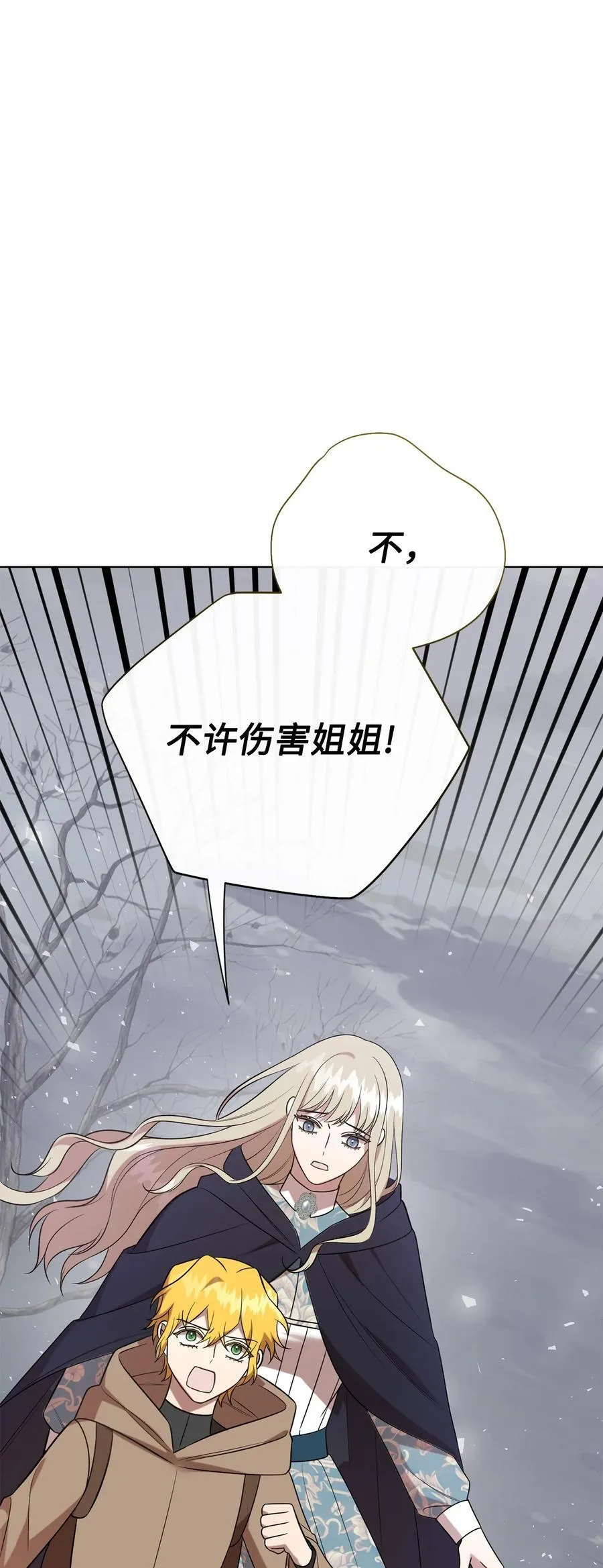 107 魔法师间的决斗 第29页