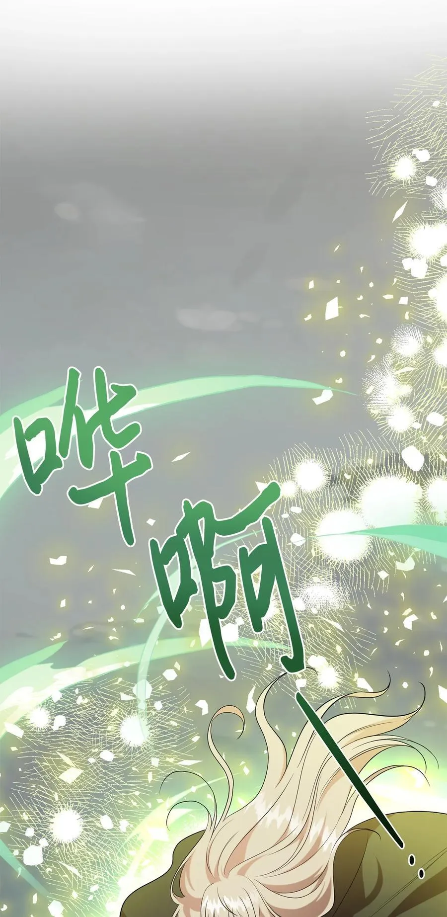 107 魔法师间的决斗 第69页