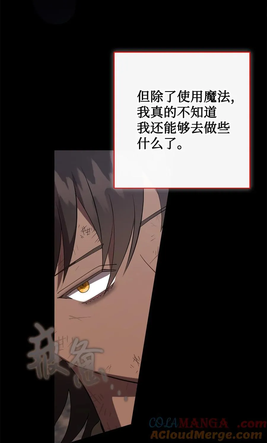 124 希尔坎的过去 第28页