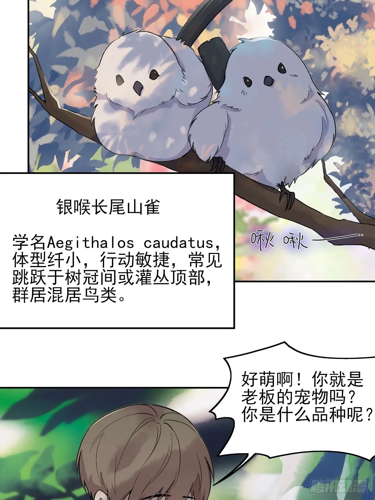 6 第18页