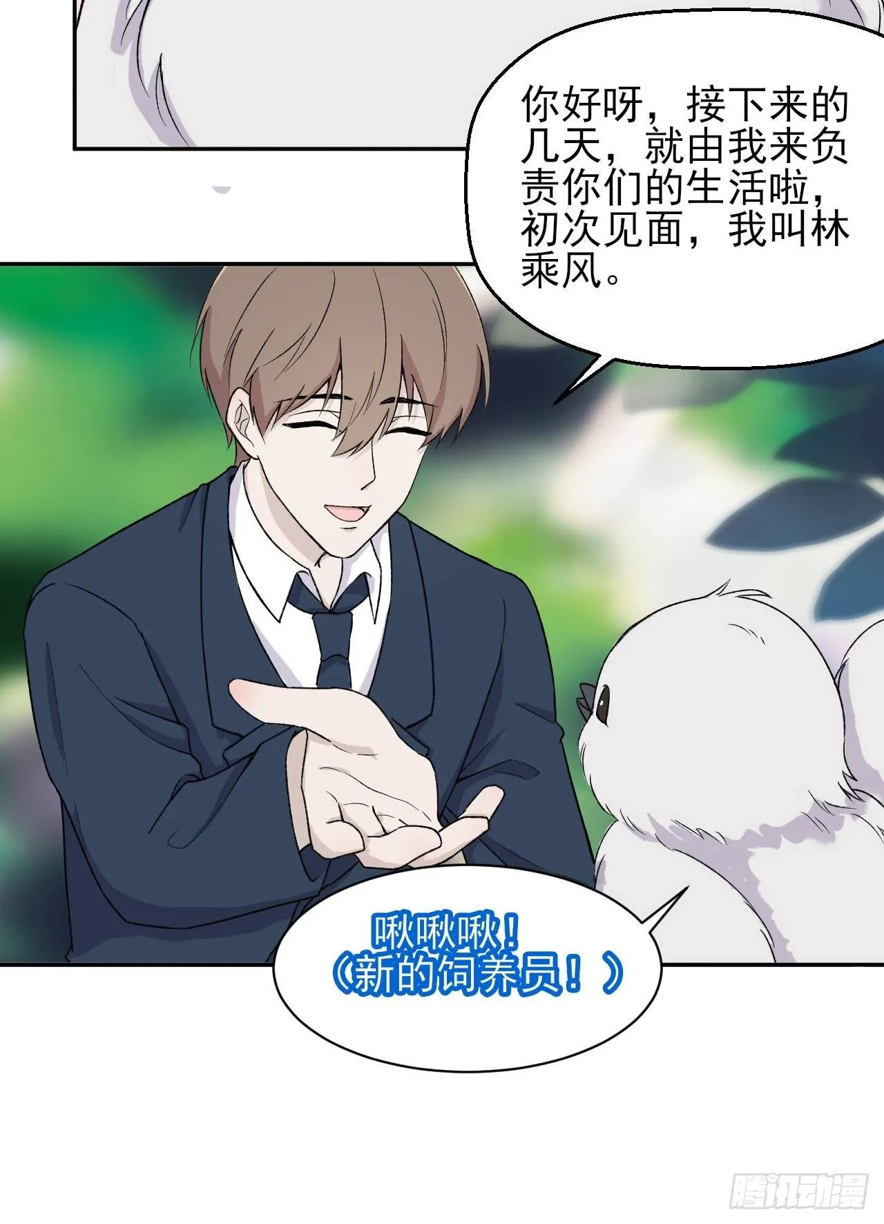 6 第20页