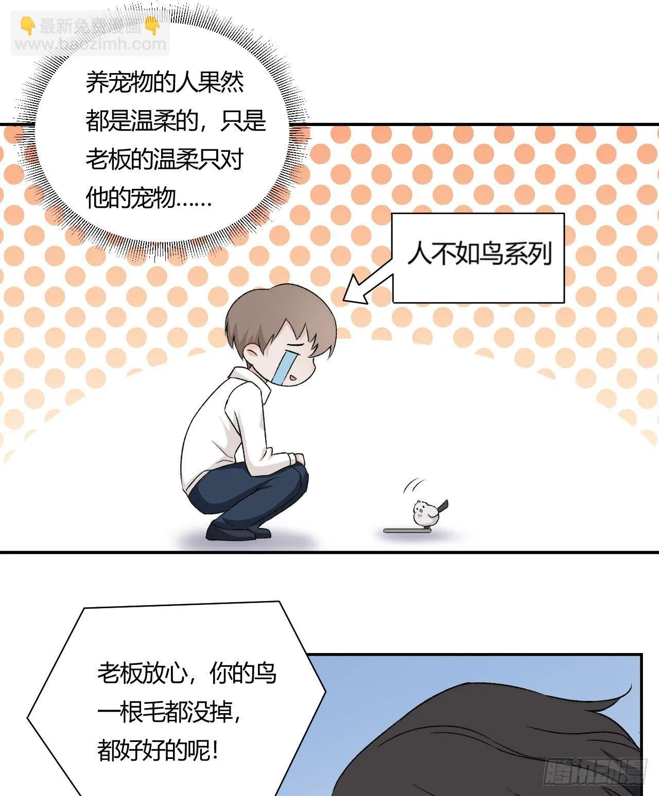 8 第6页