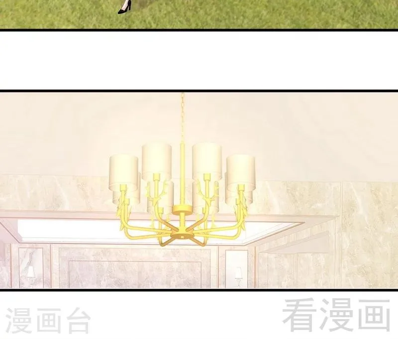 第39话 陆家宴会 第4页