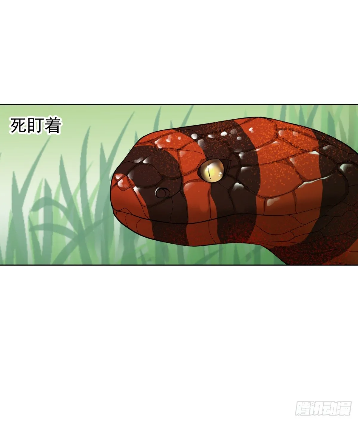 番外篇：前世今生 第13页