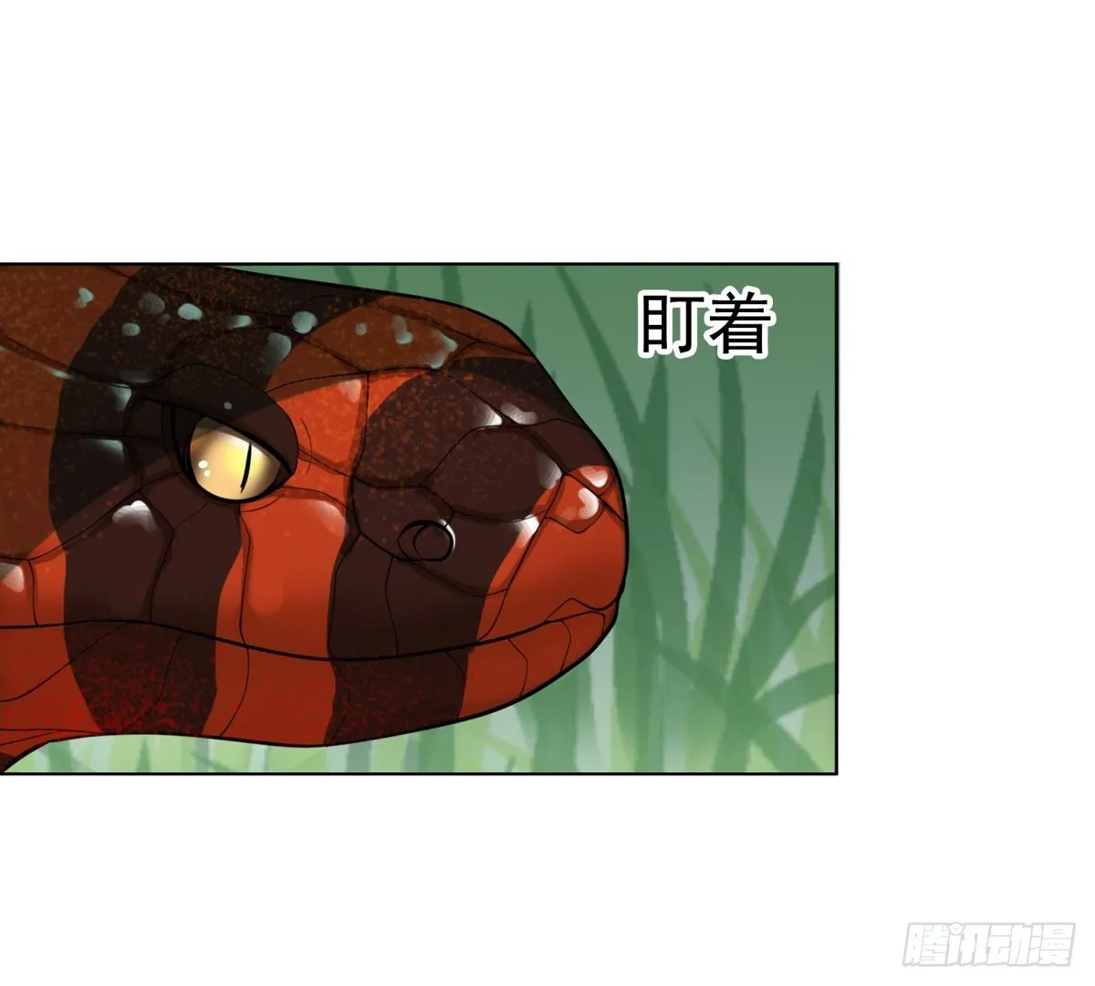 番外篇：前世今生 第16页