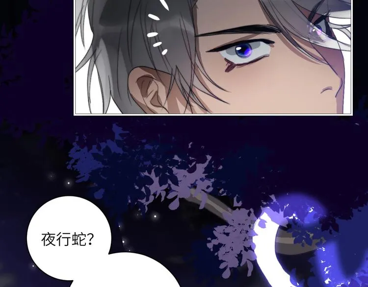 第23话 夜色真美 第12页