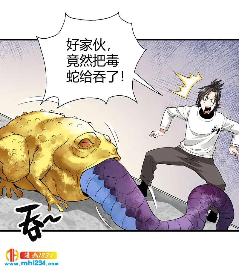 第35话 我是他师父 第33页