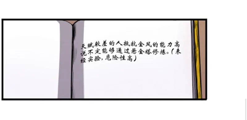 悬金塔 第11页
