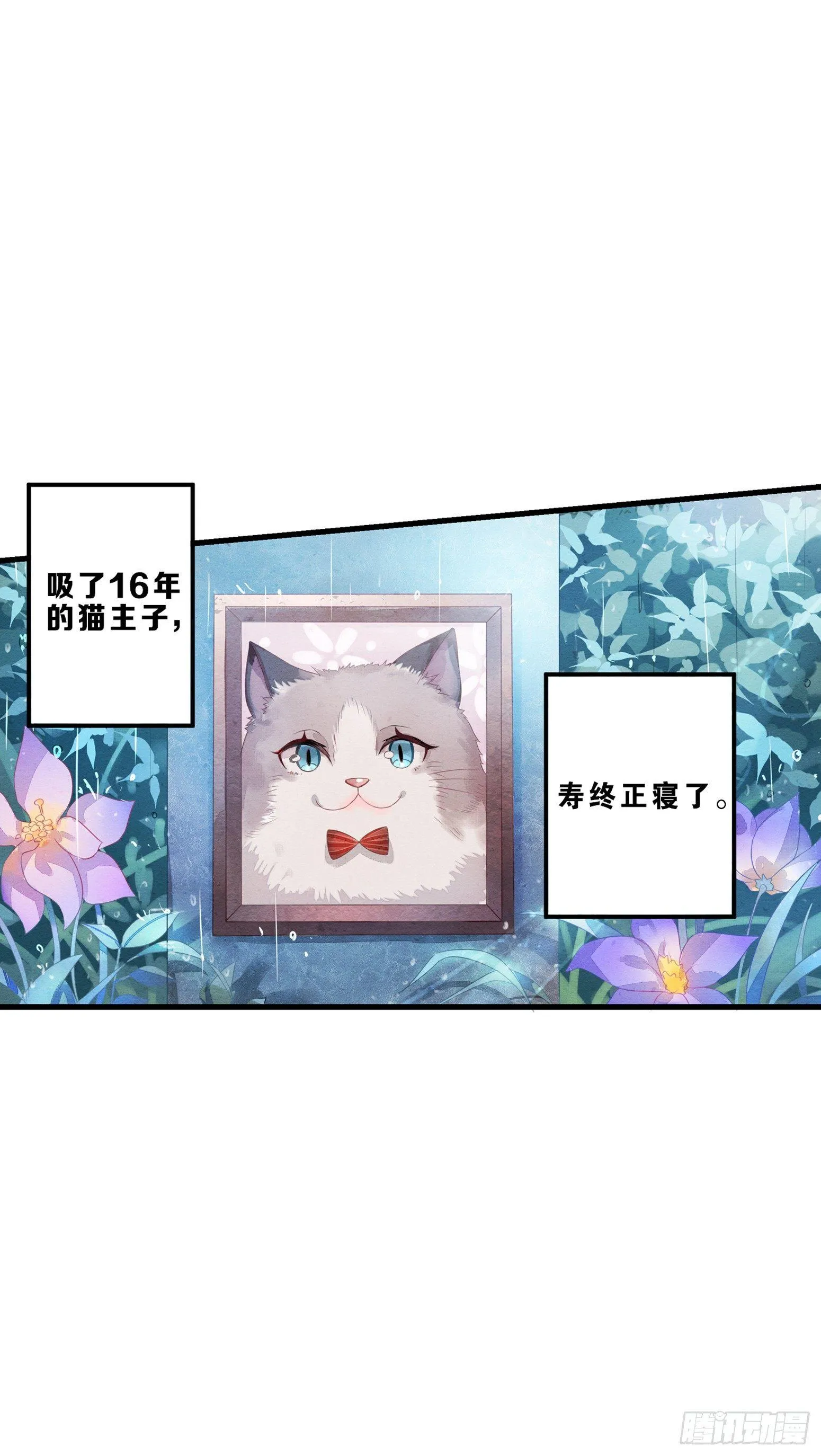 01 天降猫咪 第9页