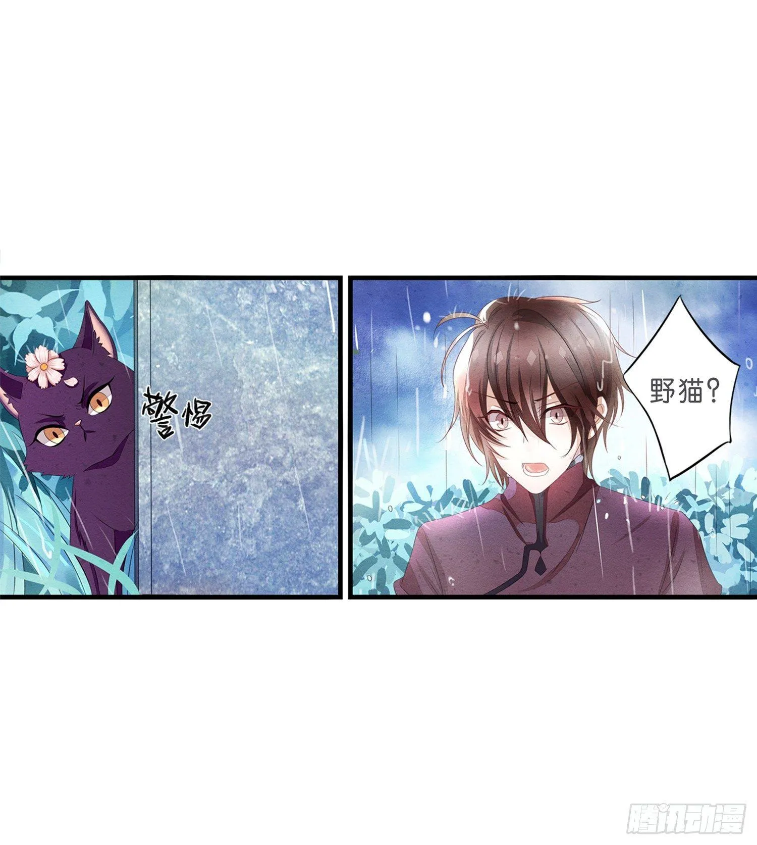 01 天降猫咪 第13页
