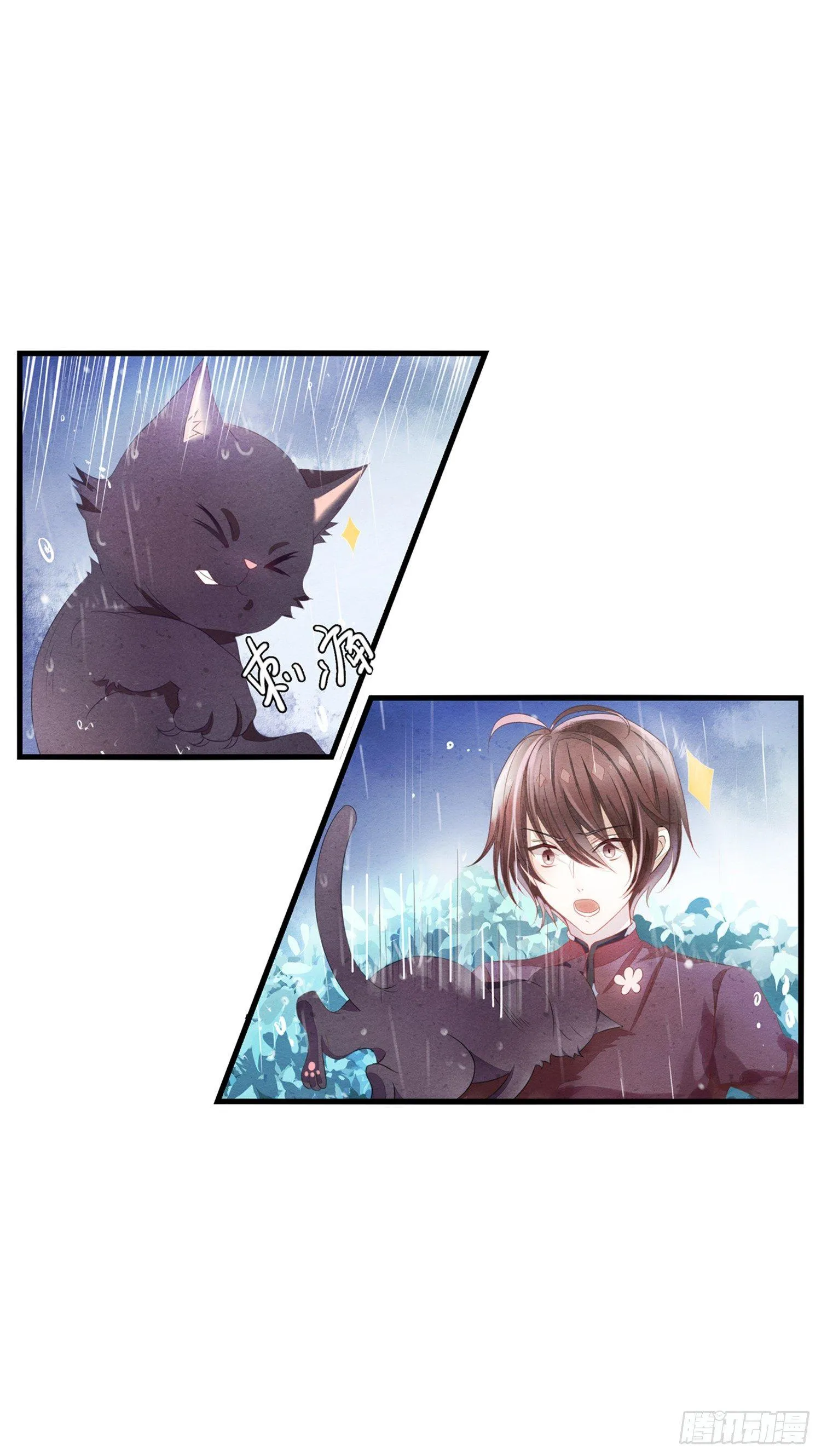 01 天降猫咪 第15页