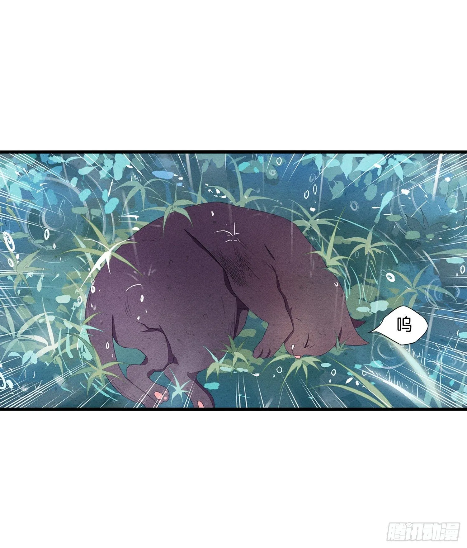 01 天降猫咪 第16页