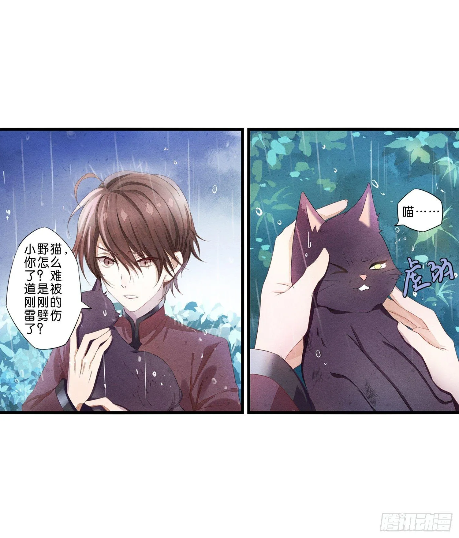 01 天降猫咪 第17页