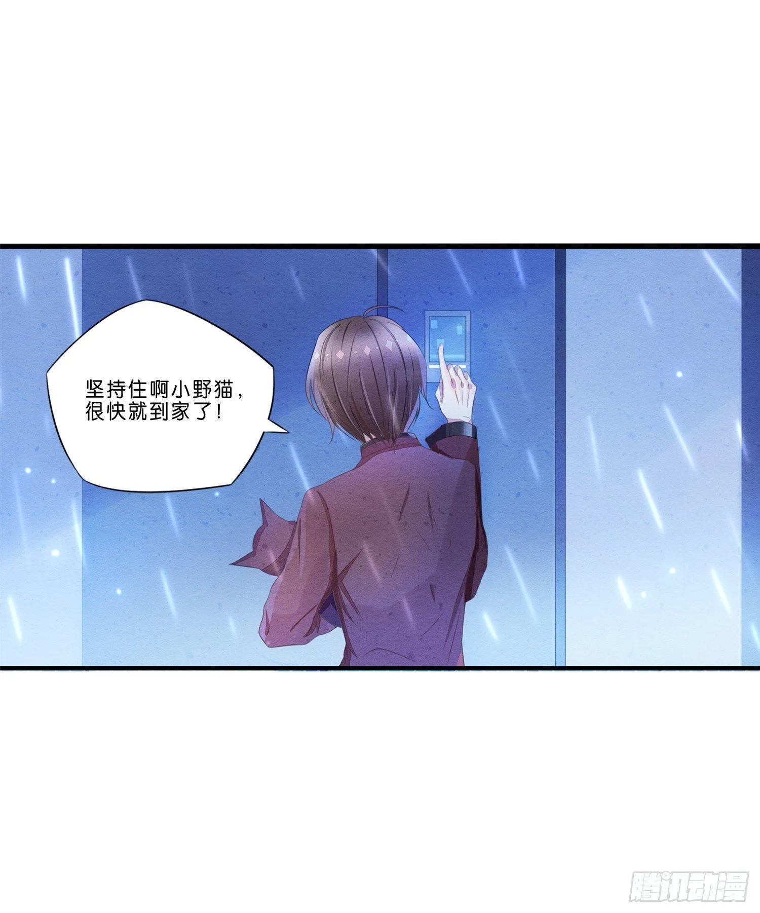 01 天降猫咪 第19页