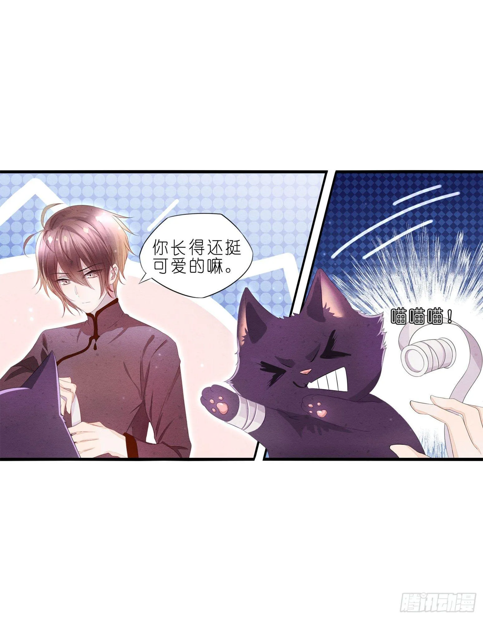01 天降猫咪 第25页
